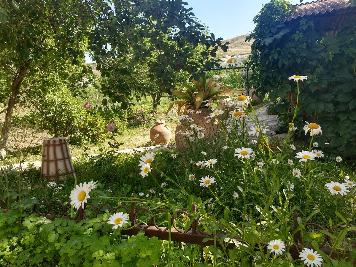 Gayane & Khikar B&B Chʼiva Exterior foto